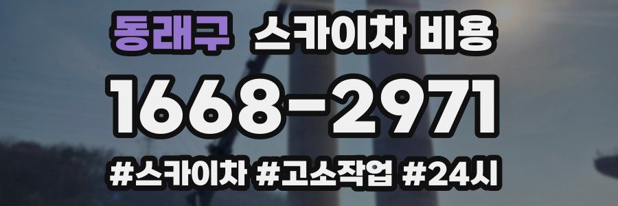 동래구 스카이차 비용