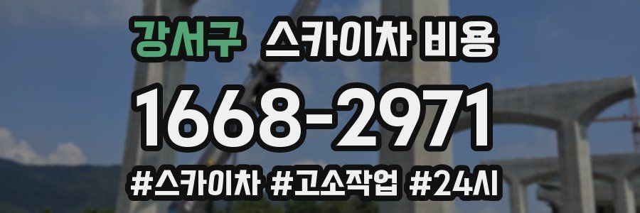 강서구 스카이차 비용