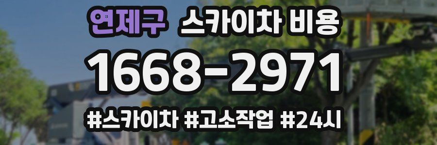 연제구 스카이차 비용