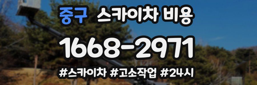 중구 스카이차 비용