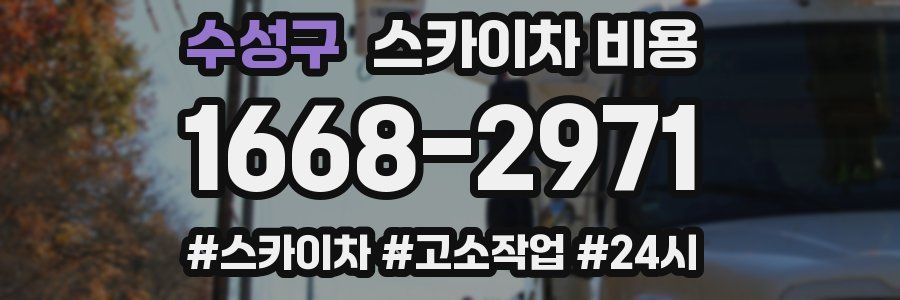 수성구 스카이차 비용