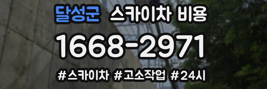 달성군 스카이차 비용