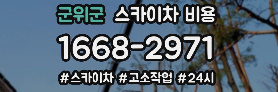 군위군 스카이차 비용