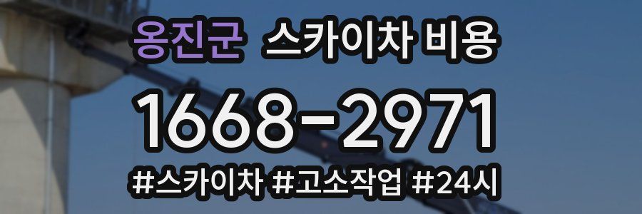 옹진군 스카이차 비용