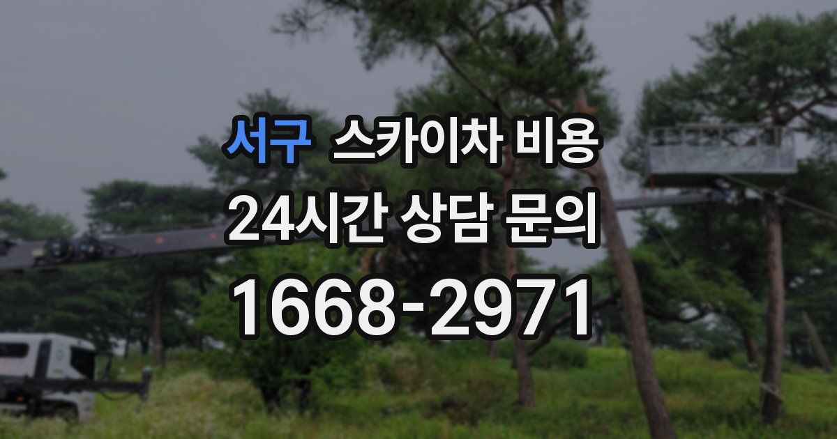 서구 스카이차 비용