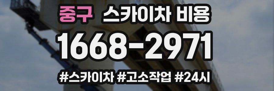 중구 스카이차 비용