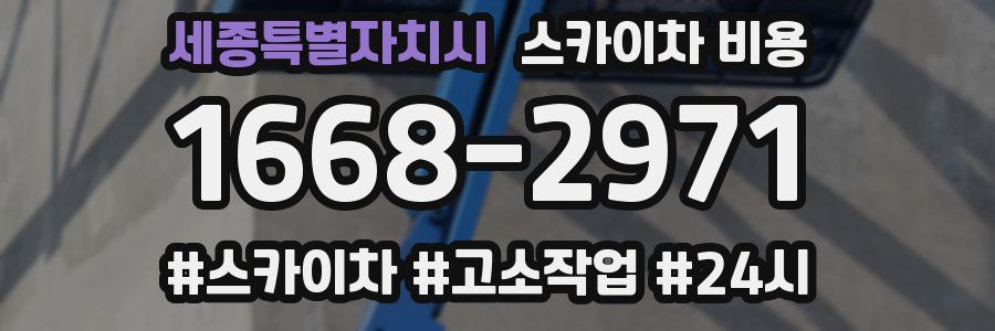 세종특별자치시 스카이차 비용