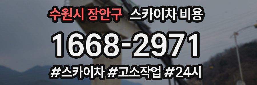 수원시 장안구 스카이차 비용
