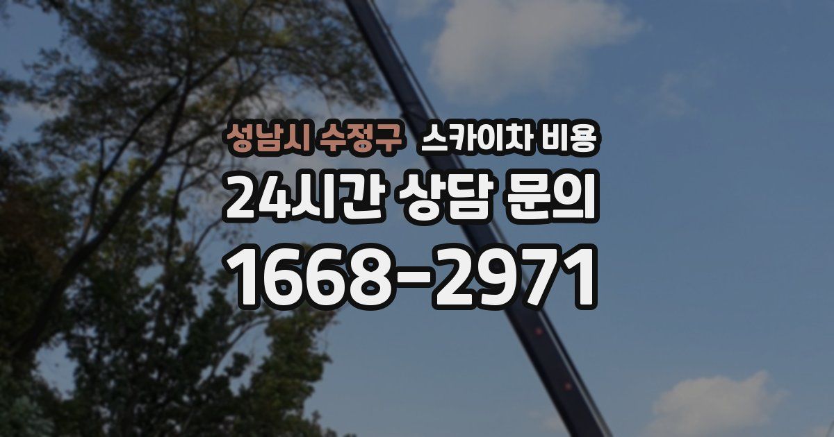 성남시 수정구 스카이차 비용