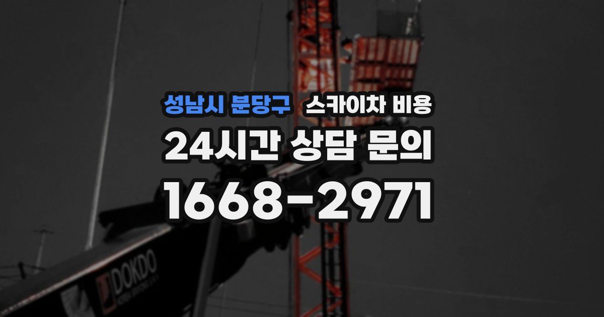 성남시 분당구 스카이차 비용