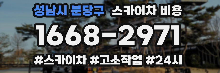 성남시 분당구 스카이차 비용