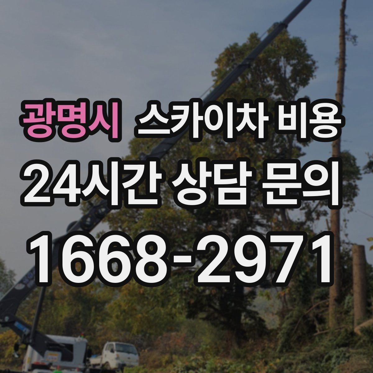 광명시 스카이차 비용 가로수·간판·전선이 동선을 막을 때