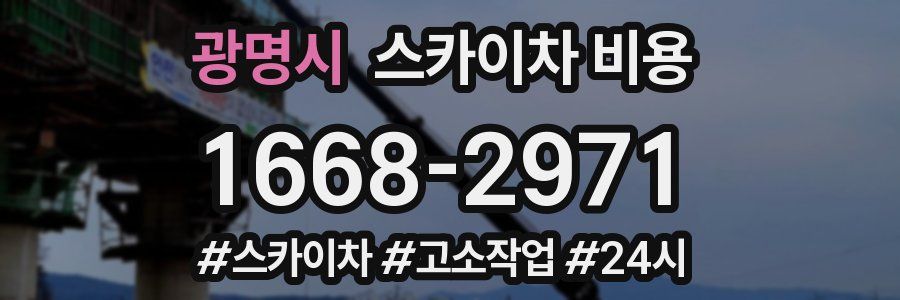 광명시 스카이차 비용