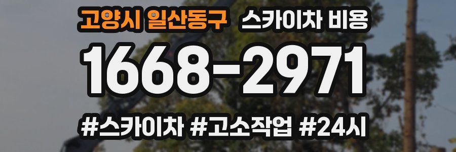 고양시 일산동구 스카이차 비용