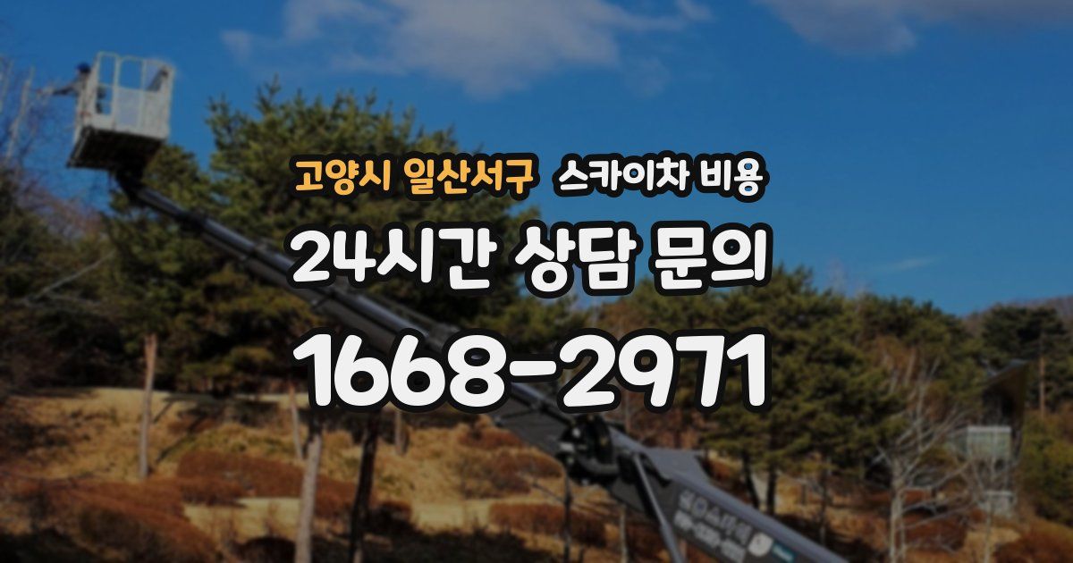 고양시 일산서구 스카이차 비용