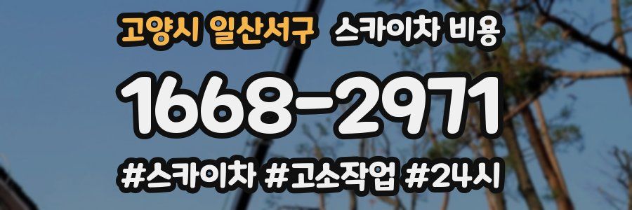 고양시 일산서구 스카이차 비용