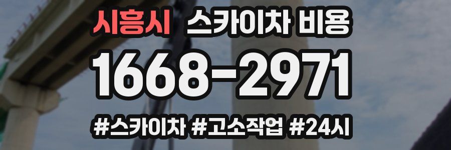 시흥시 스카이차 비용