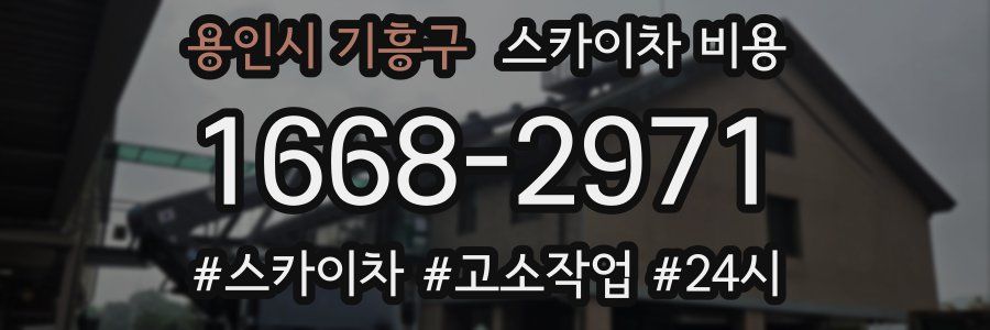 용인시 기흥구 스카이차 비용