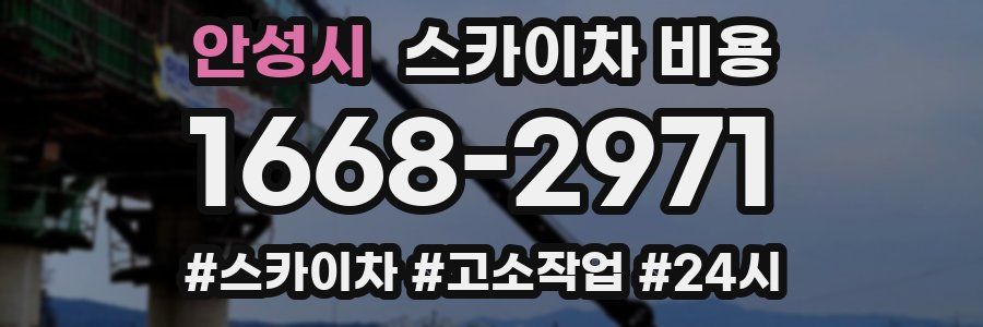 안성시 스카이차 비용