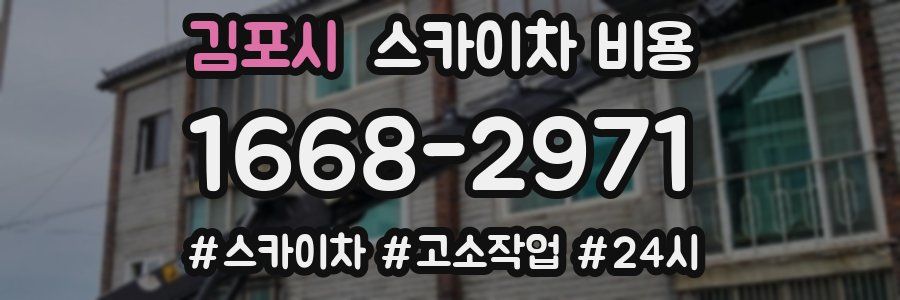 김포시 스카이차 비용