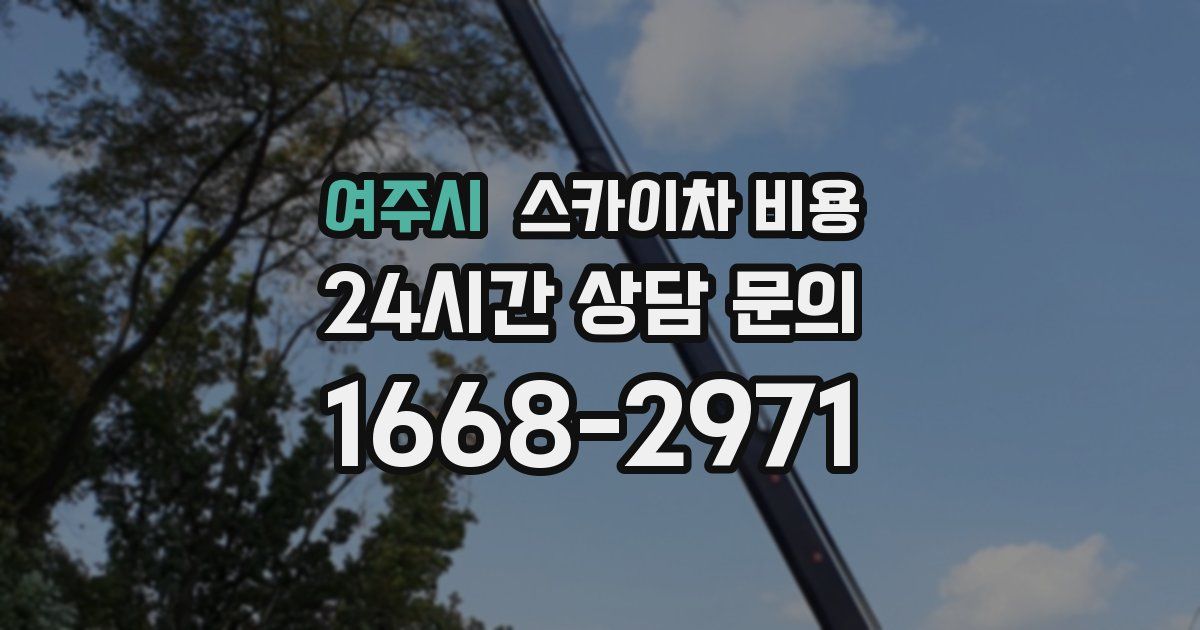 여주시 스카이차 비용