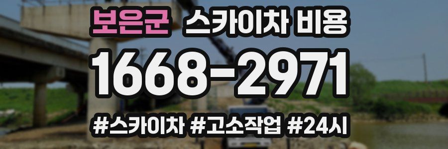 보은군 스카이차 비용