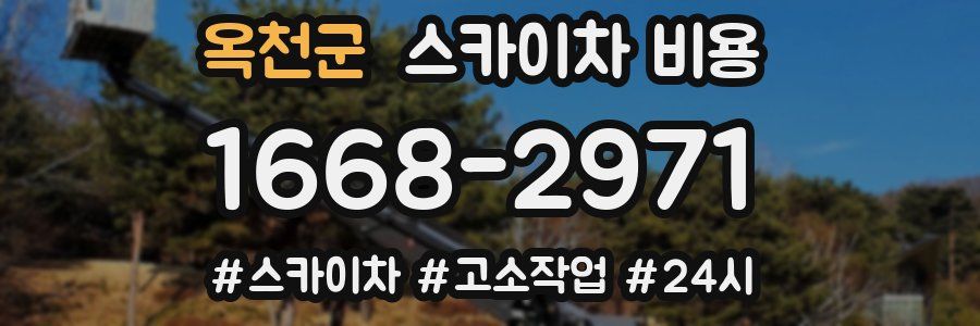 옥천군 스카이차 비용