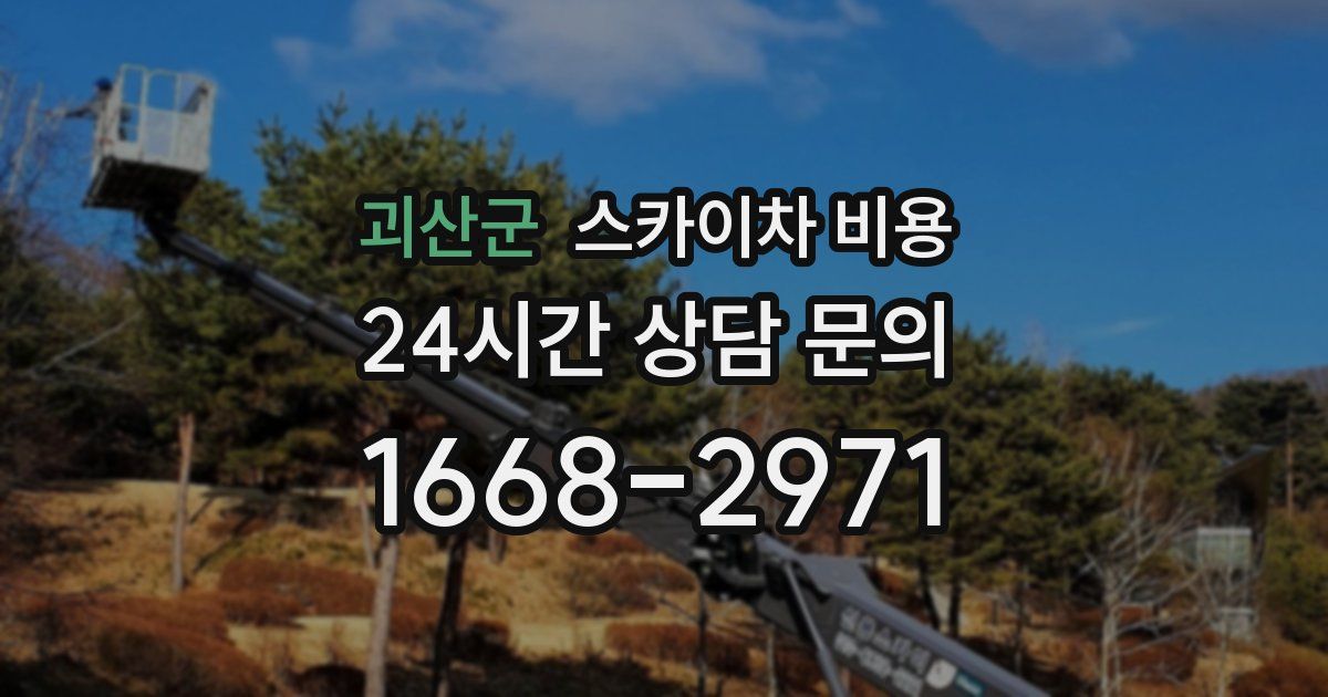 괴산군 스카이차 비용