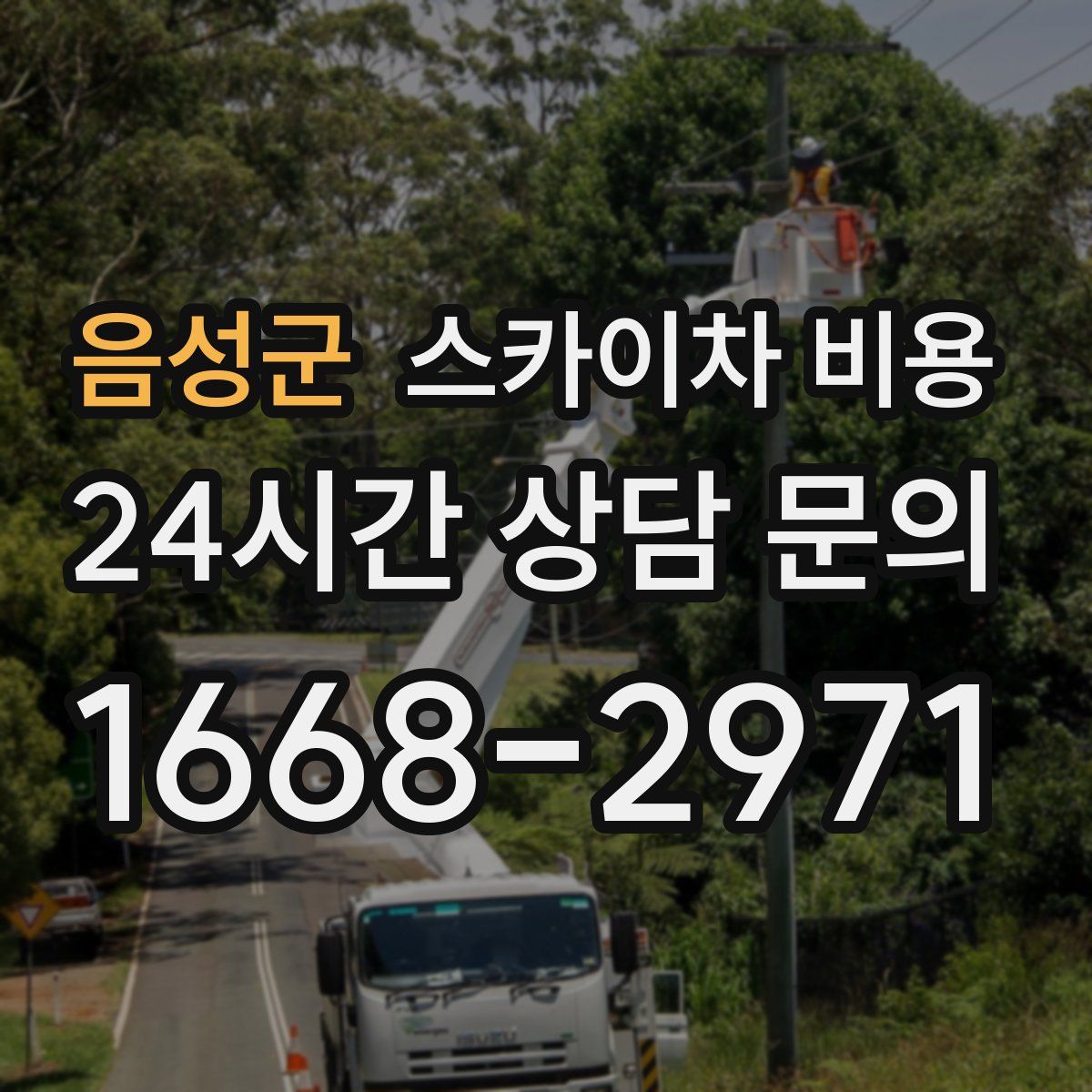 음성군 스카이차 비용