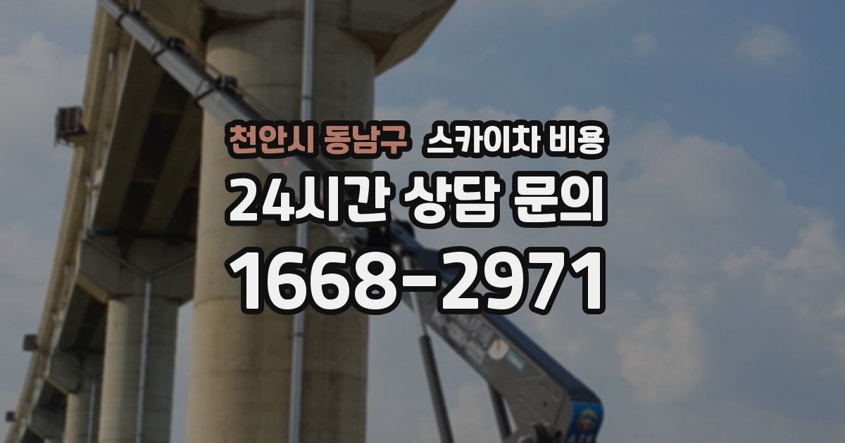 천안시 동남구 스카이차 비용