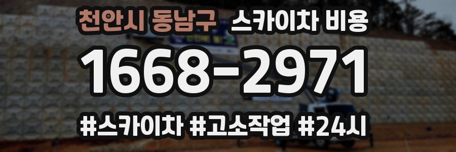 천안시 동남구 스카이차 비용