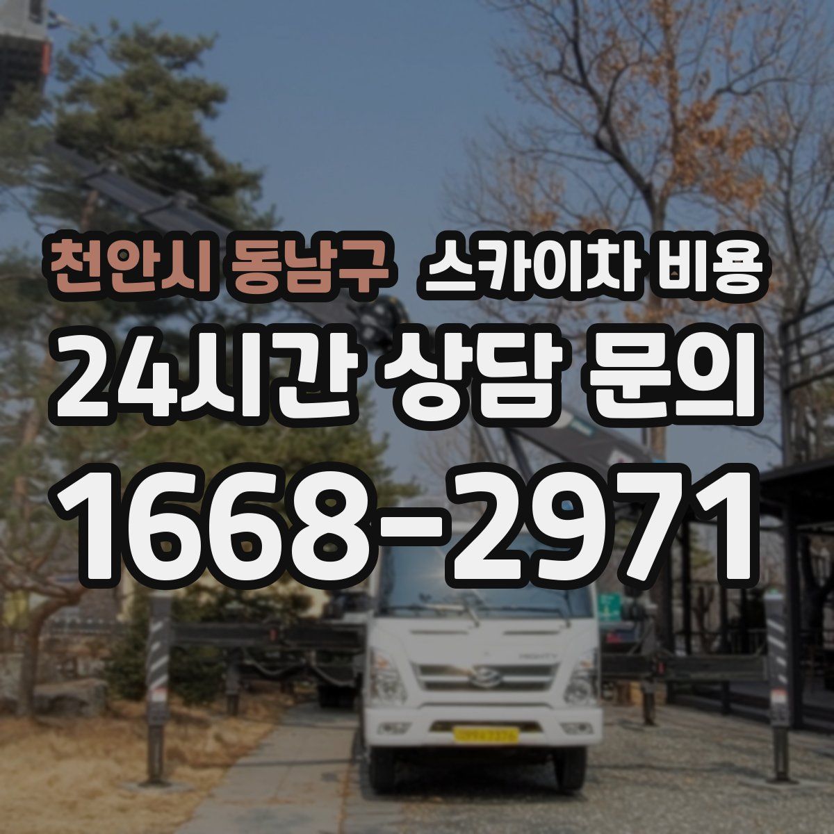 천안시 동남구 스카이차 비용