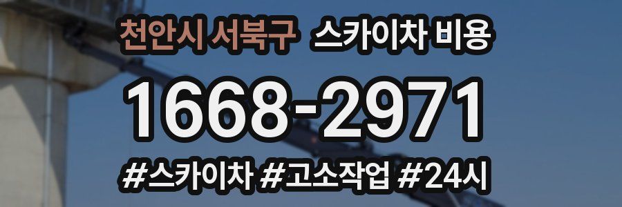 천안시 서북구 스카이차 비용
