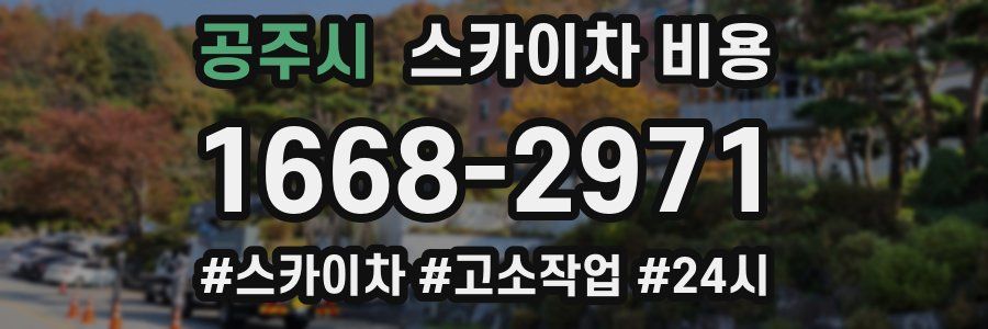 공주시 스카이차 비용