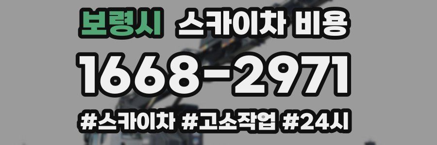 보령시 스카이차 비용