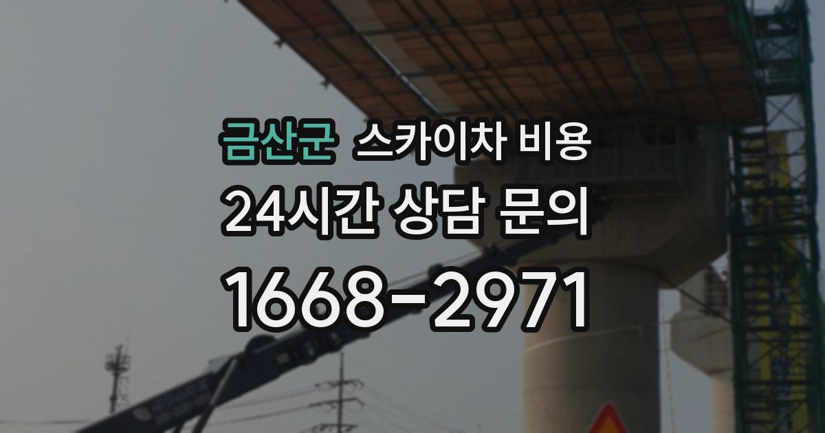 금산군 스카이차 비용