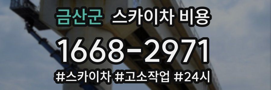 금산군 스카이차 비용