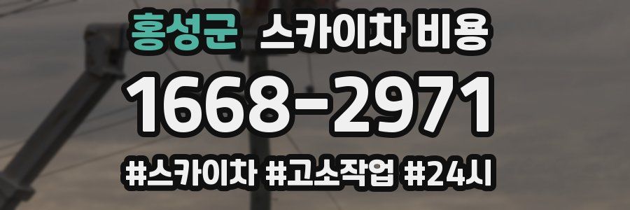 홍성군 스카이차 비용