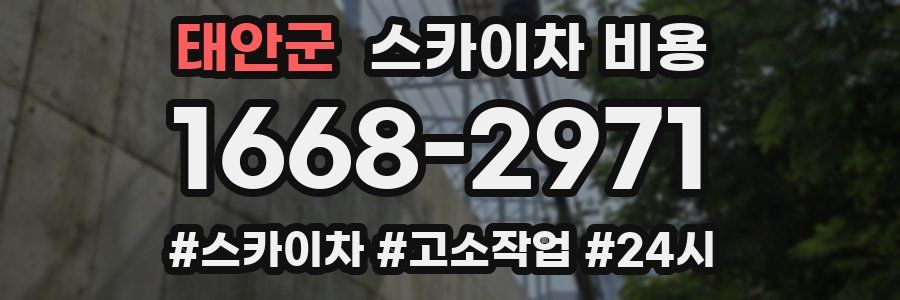 태안군 스카이차 비용