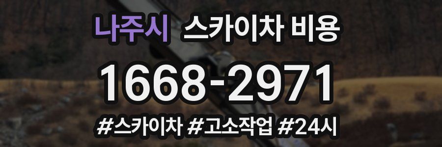 나주시 스카이차 비용