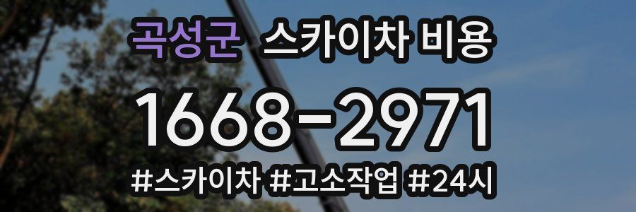 곡성군 스카이차 비용