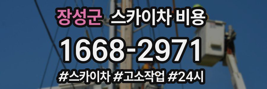 장성군 스카이차 비용