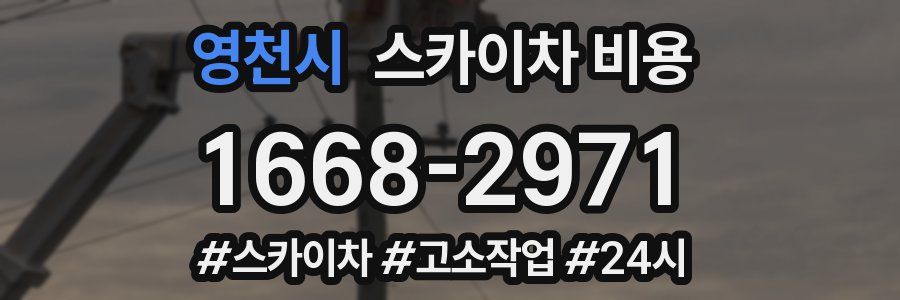 영천시 스카이차 비용