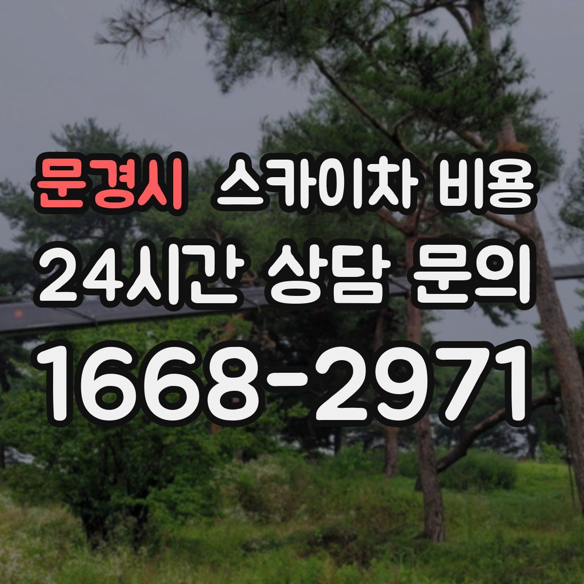 문경시 스카이차 비용