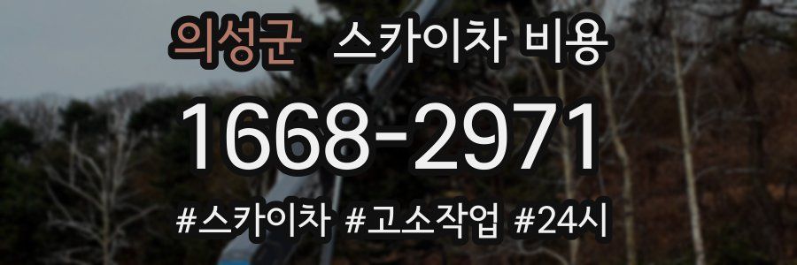 의성군 스카이차 비용