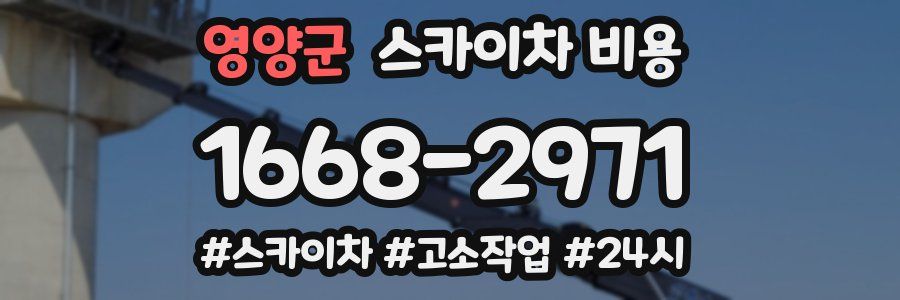 영양군 스카이차 비용