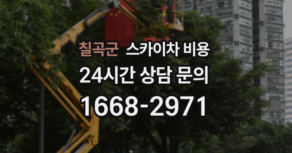 칠곡군 스카이차 비용