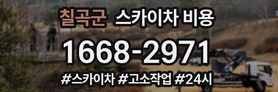 칠곡군 스카이차 비용