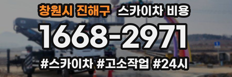 창원시 진해구 스카이차 비용