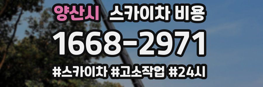 양산시 스카이차 비용